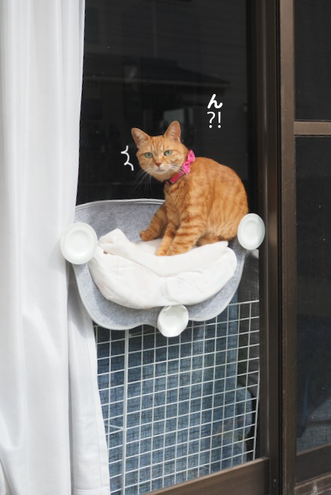 29日夕ブログ３