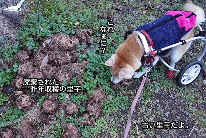 9日午後ブログ２