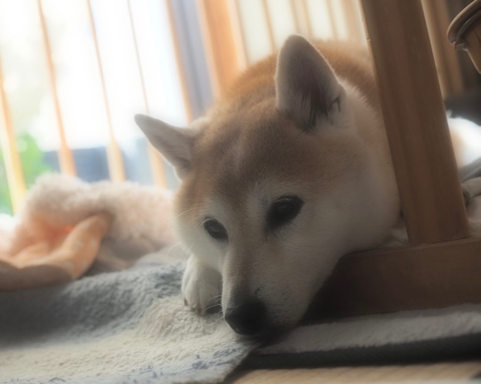 21日ブログ８