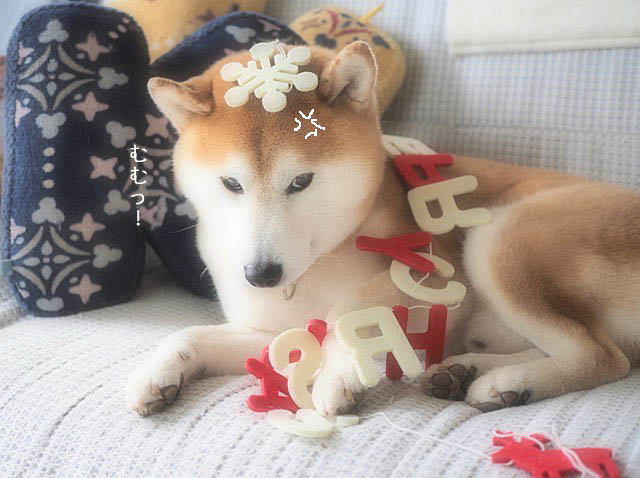 11日ブログ2