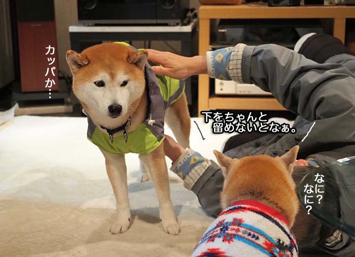 19日ブログ２