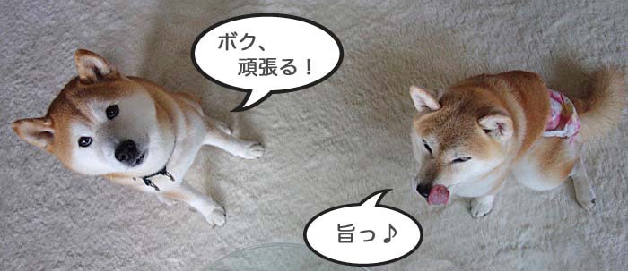 23日ブログ５