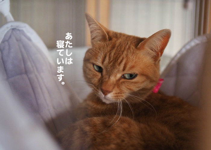 21日ブログ３