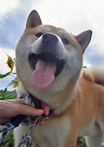 16日ブログ2.jpg