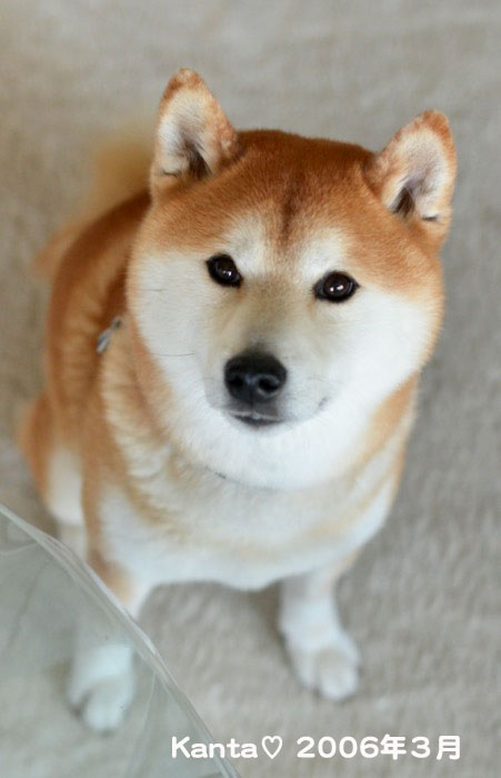 6日夕ブログ４