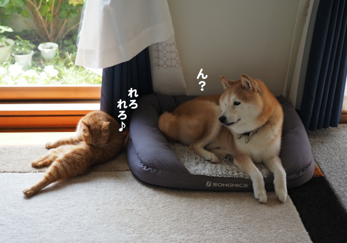 22日ブログ２