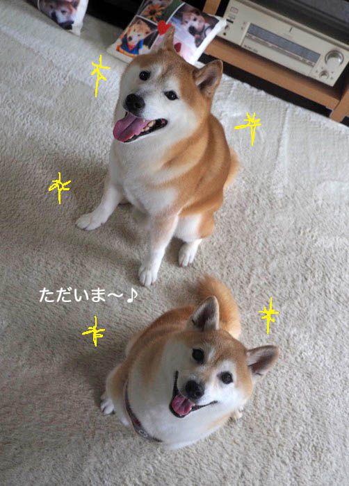 24日ブログ６