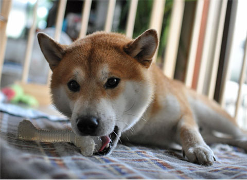 24日ブログ7.jpg