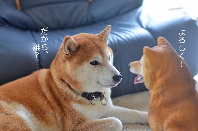 28日ブログ10