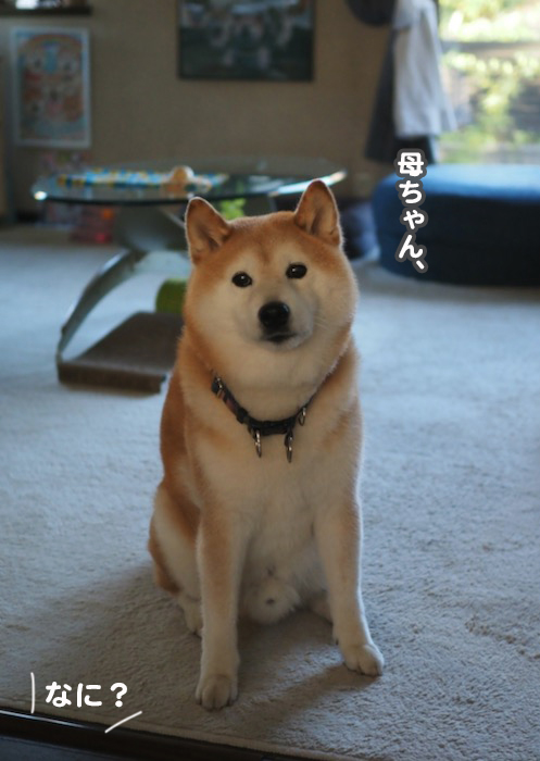 24日夕ブログ２