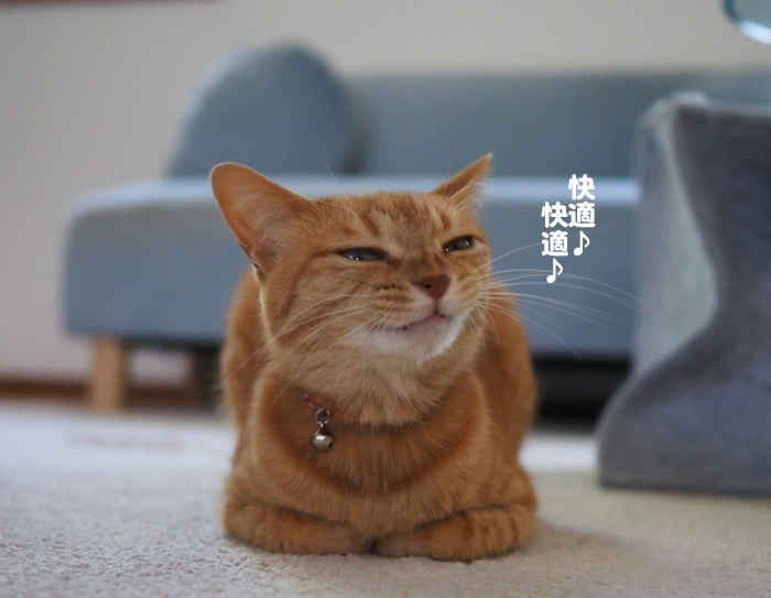 28日夕ブログ７