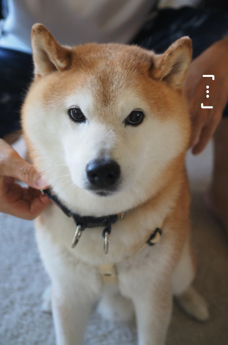 4日夕ブログ７