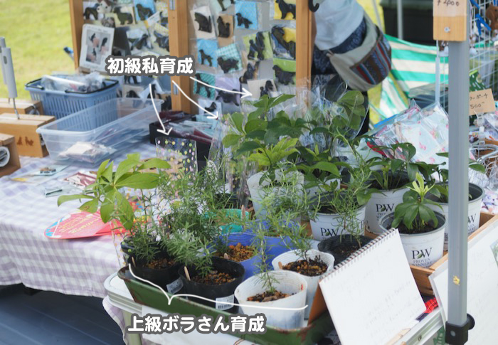 10日夕ブログ４