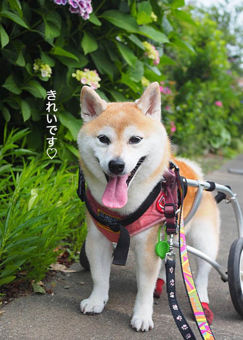 3日夜ブログ７