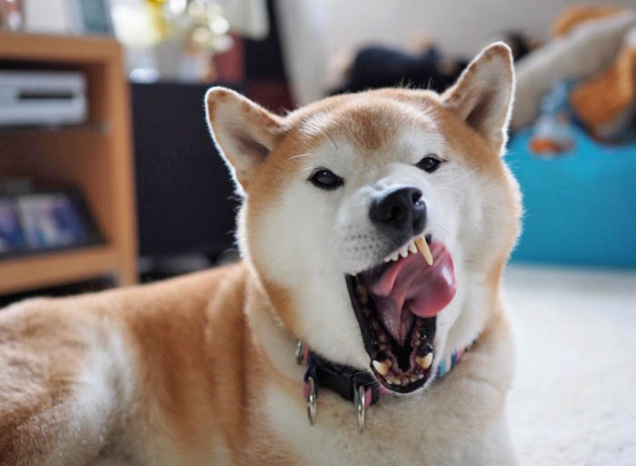 3日ブログ６