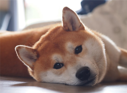 23日ブログ12.jpg