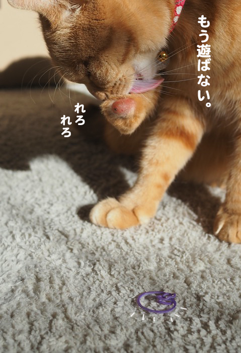 13日夕ブログ９
