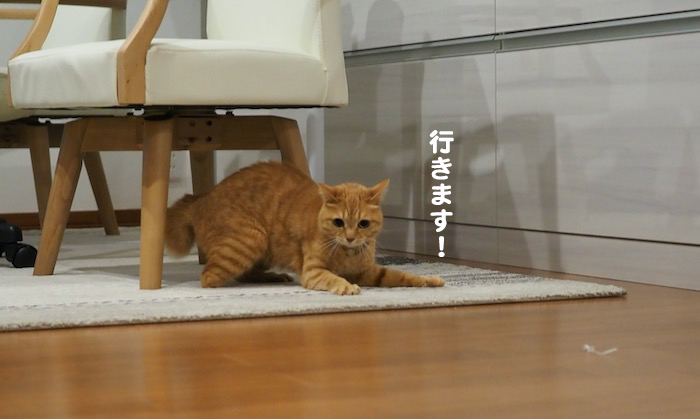 17日夜ブログ４