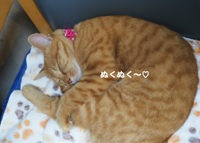 13日夕ブログ３