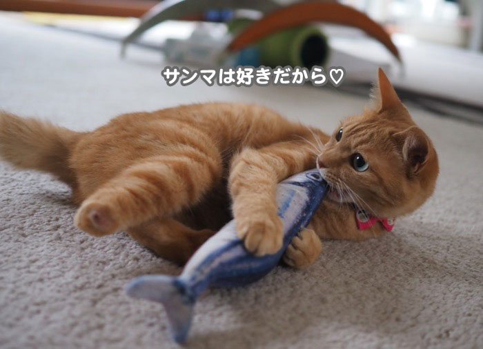 9日夕ブログ６