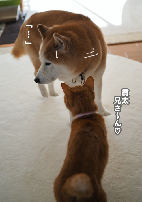 28日夕ブログ３