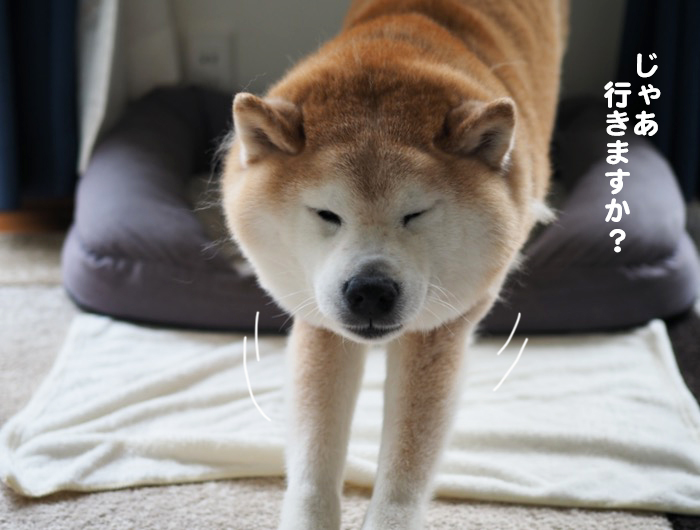 7日夕ブログ3
