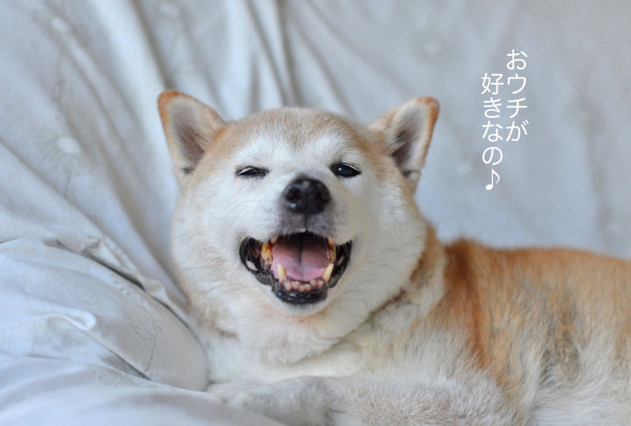 29日ブログ4