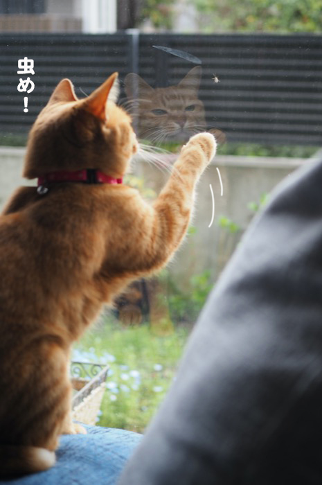 2日夕ブログ４