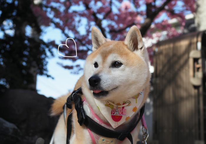31日夜ブログ15