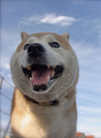17日ブログ7.jpg