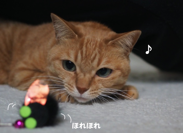 15日夕ブログ６