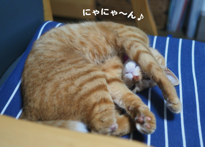 16日夕ブログ2