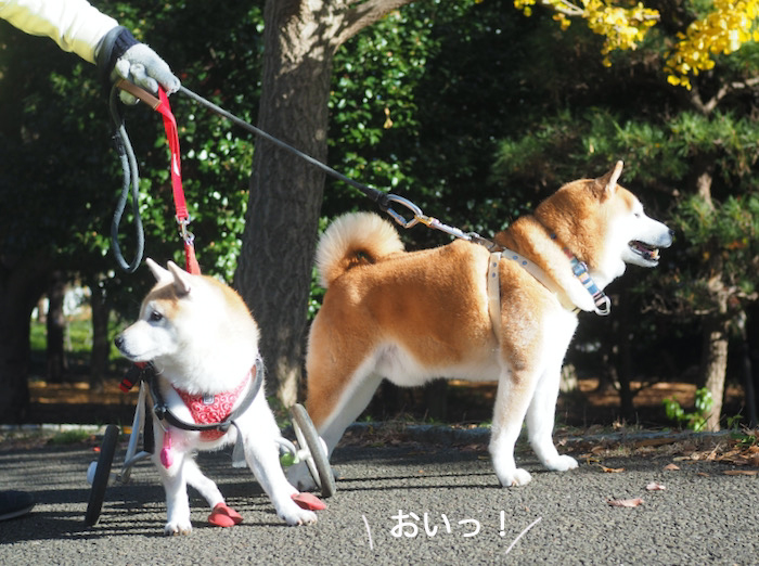 3日夕ブログ８