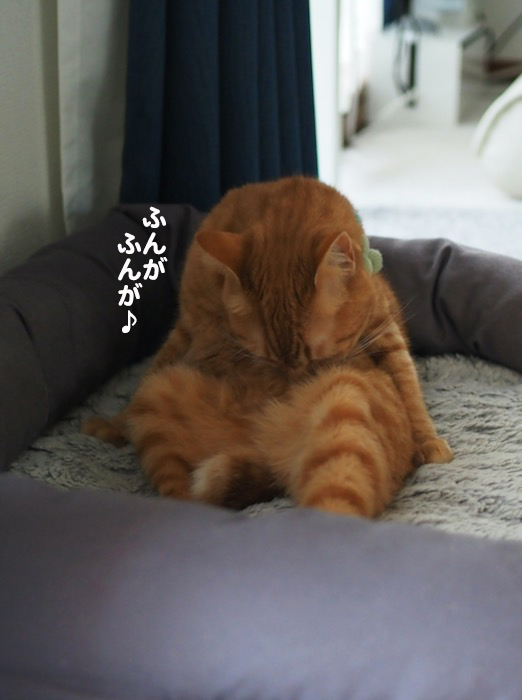 12日夕ブログ１１