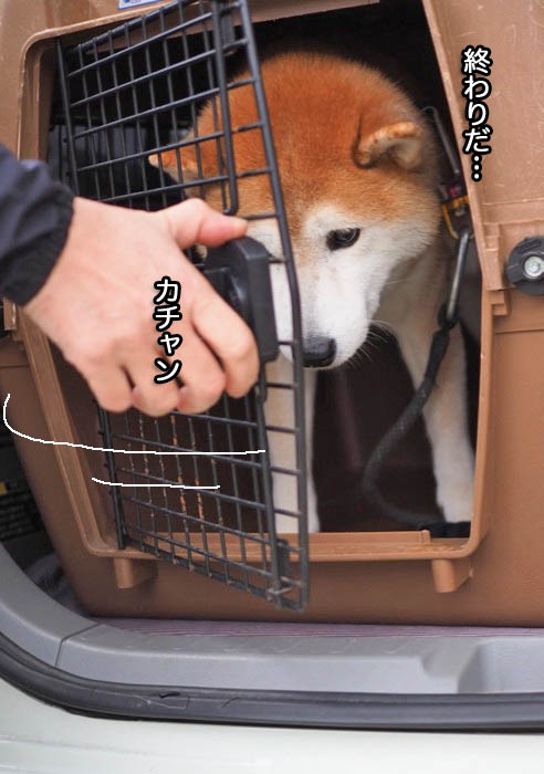 25日ブログ７