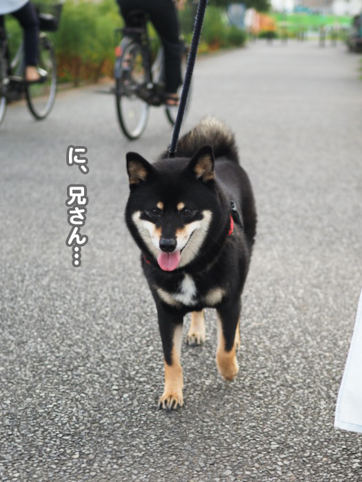 26日ブログ５