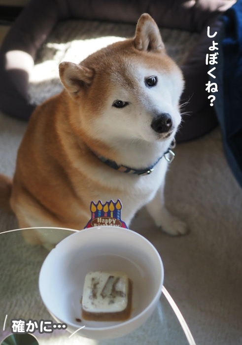 23日夕ブログ３