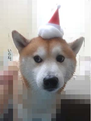 25日ブログ10.jpg