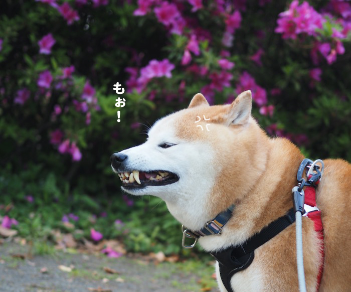 24日夕ブログ４