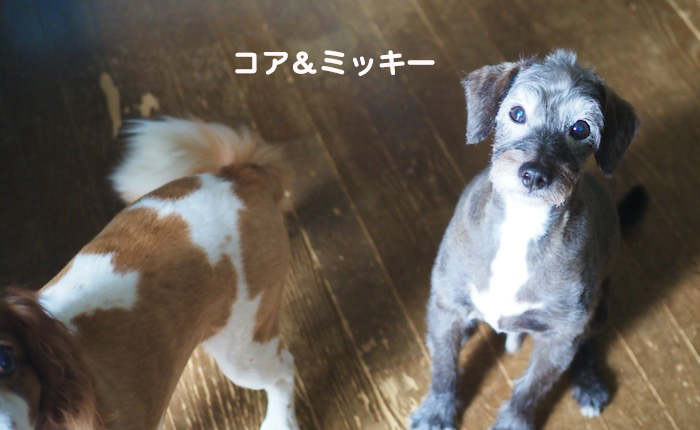 23日ブログ２