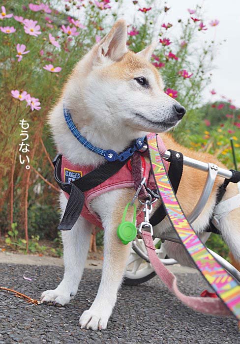 13日夜ブログ２
