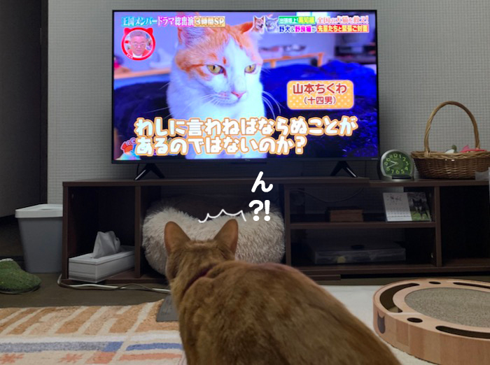 15日夕ブログ３