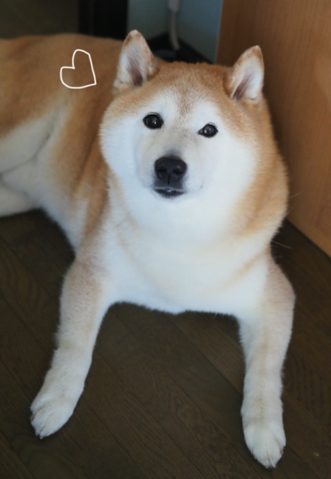 23日ブログ６