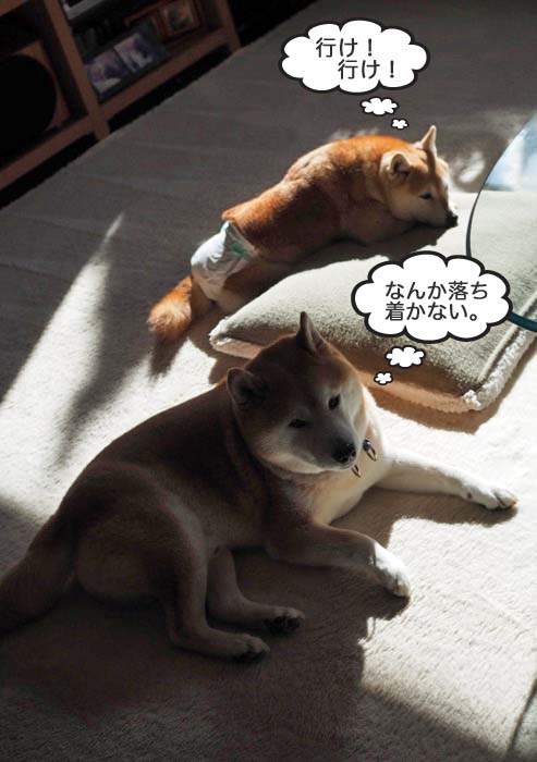13日夜ブログ12