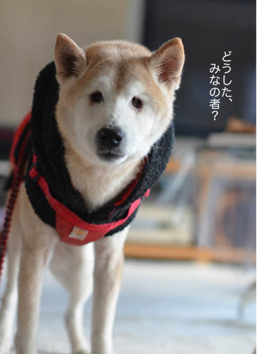 28日ブログ7.jpg