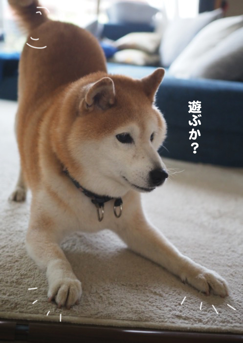 7日ブログ３