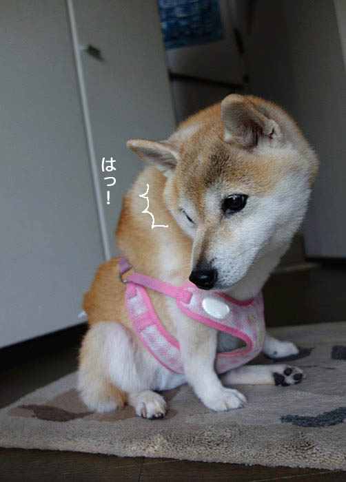 9日昼ブログ１