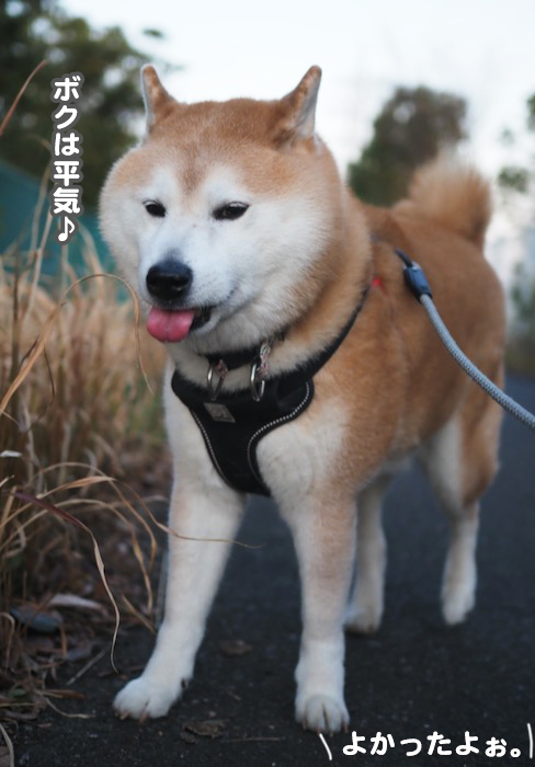 1日夕ブログ５
