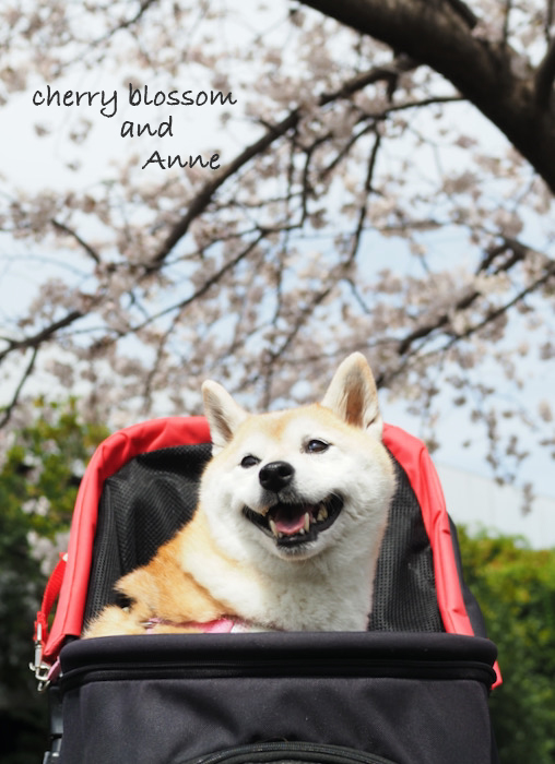 31日夜ブログ２