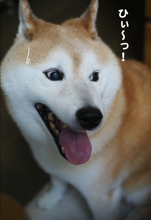 16日夕ブログ２